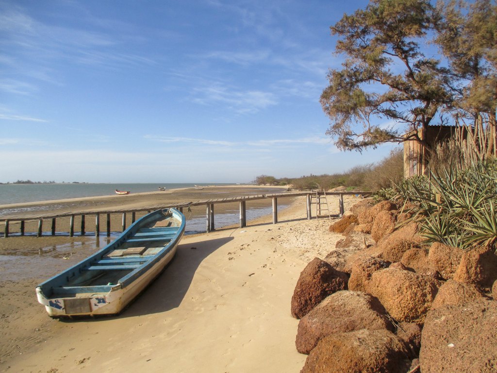 04_Senegal Zebrabar.jpg