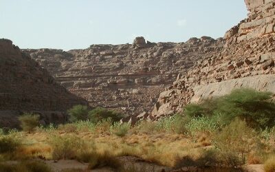 libyen 2006-kalle-finger-guck-du-lieber-mal-nach-vorne