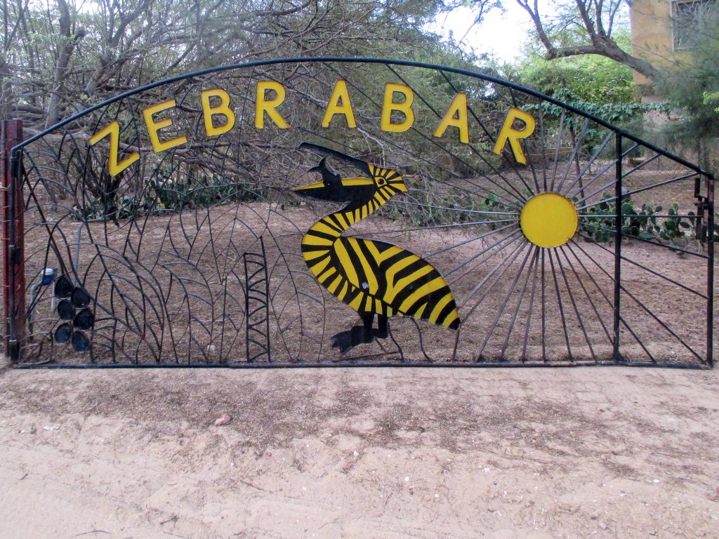 05_Senegal Zebrabar.jpg