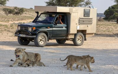 südafrika-2023-sigrid-und -horst-kaimer-unser-krassester-safaritag-aller-zeiten