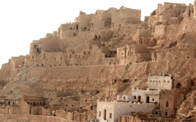 tunesien-2022-astrid-schueler-zwei kamele für mich sind zu wenig