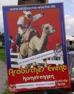 Kamelrennen Trendelburg 2005.jpg
