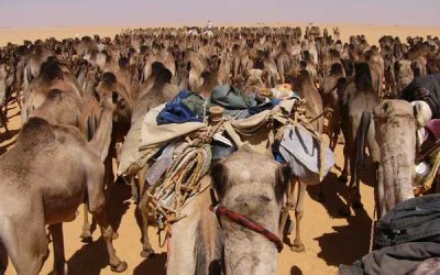 tschad-libyen-2006-meike-meerpohl-handelswege