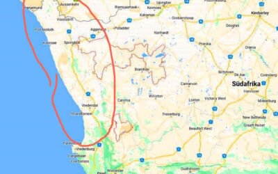 suedafrika-2023-zur-bluete-ins-namakwaland-zielonkowsky