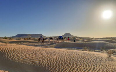 Eine Kameltour im Süden Tunesiens – Dirk Pierson